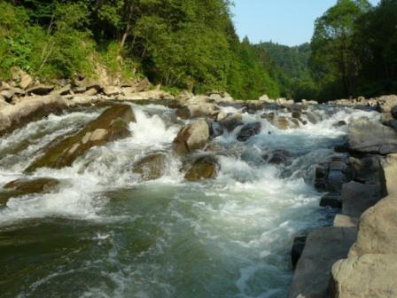 Caloroczne Domki Zacisze Hnatowego Berda W Wetlinie Wetlina Kültér fotó